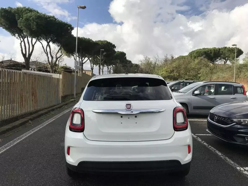 Immagine 3 stampa