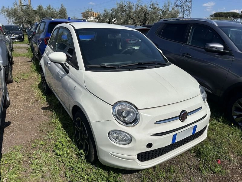 Immagine 3 stampa