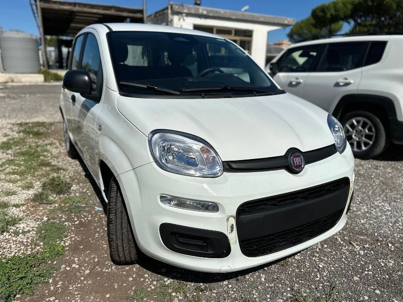 Immagine 3 stampa