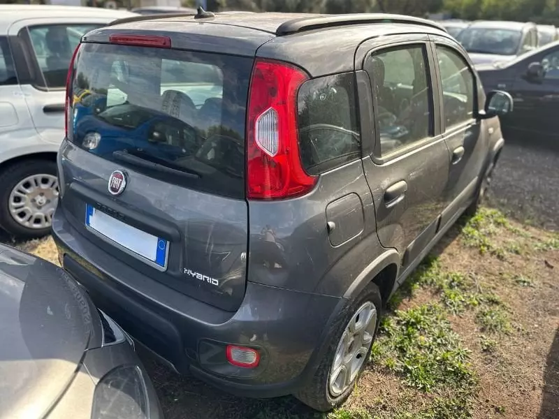 Immagine 3 stampa