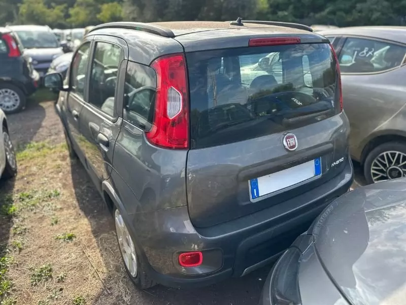 Immagine 4 stampa