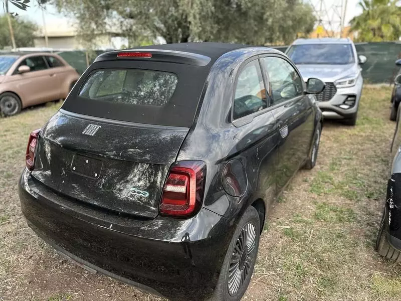 Immagine 4 stampa