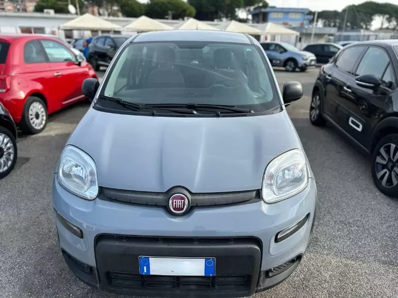 Immagine 2 stampa