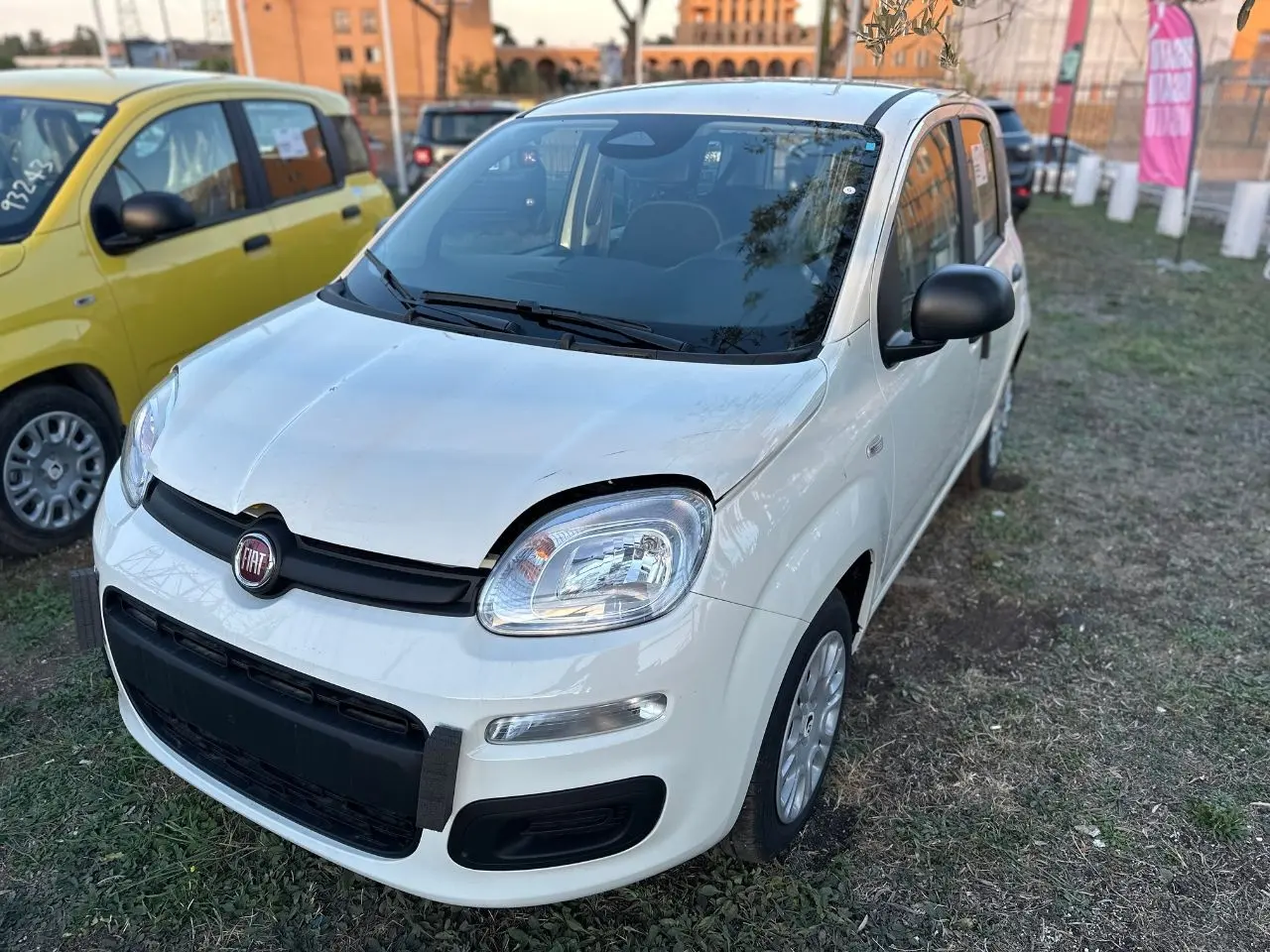 Immagine 3 stampa