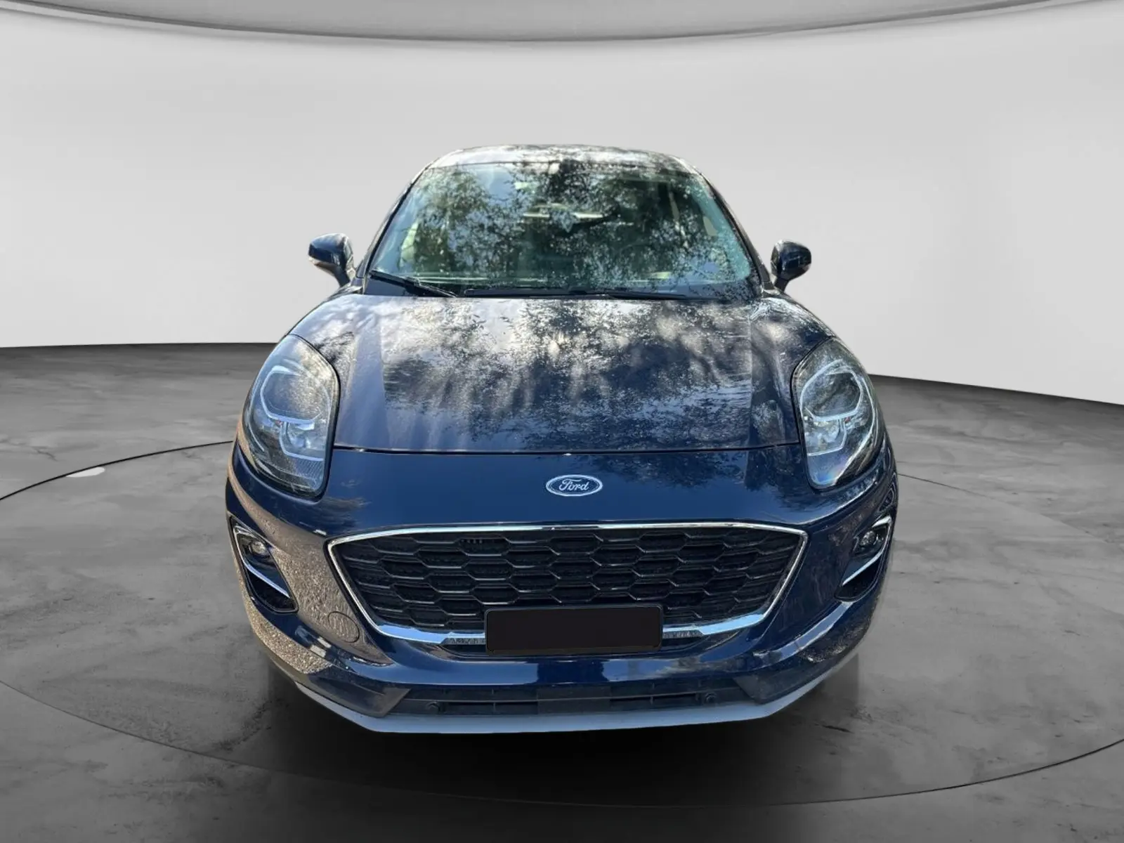 Immagine 2 stampa