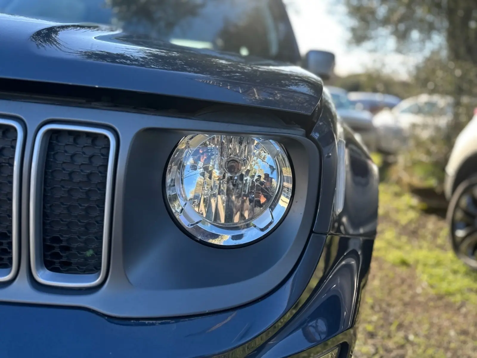 Immagine 25