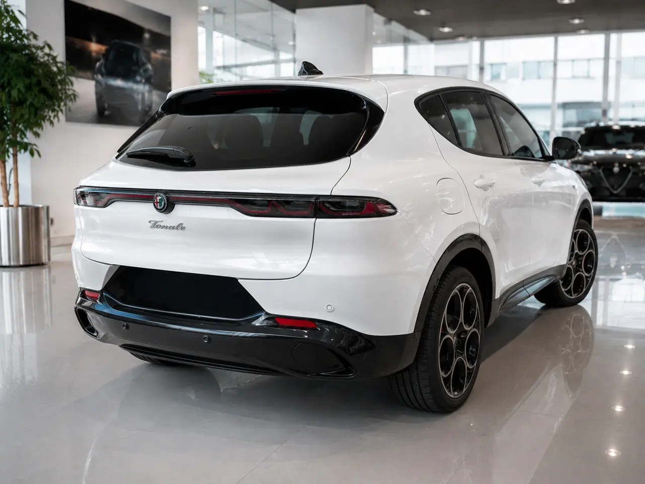 Immagine 3 stampa