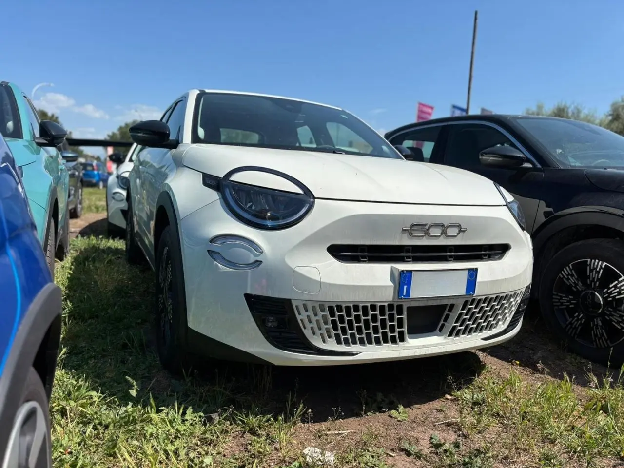 Immagine 2 stampa