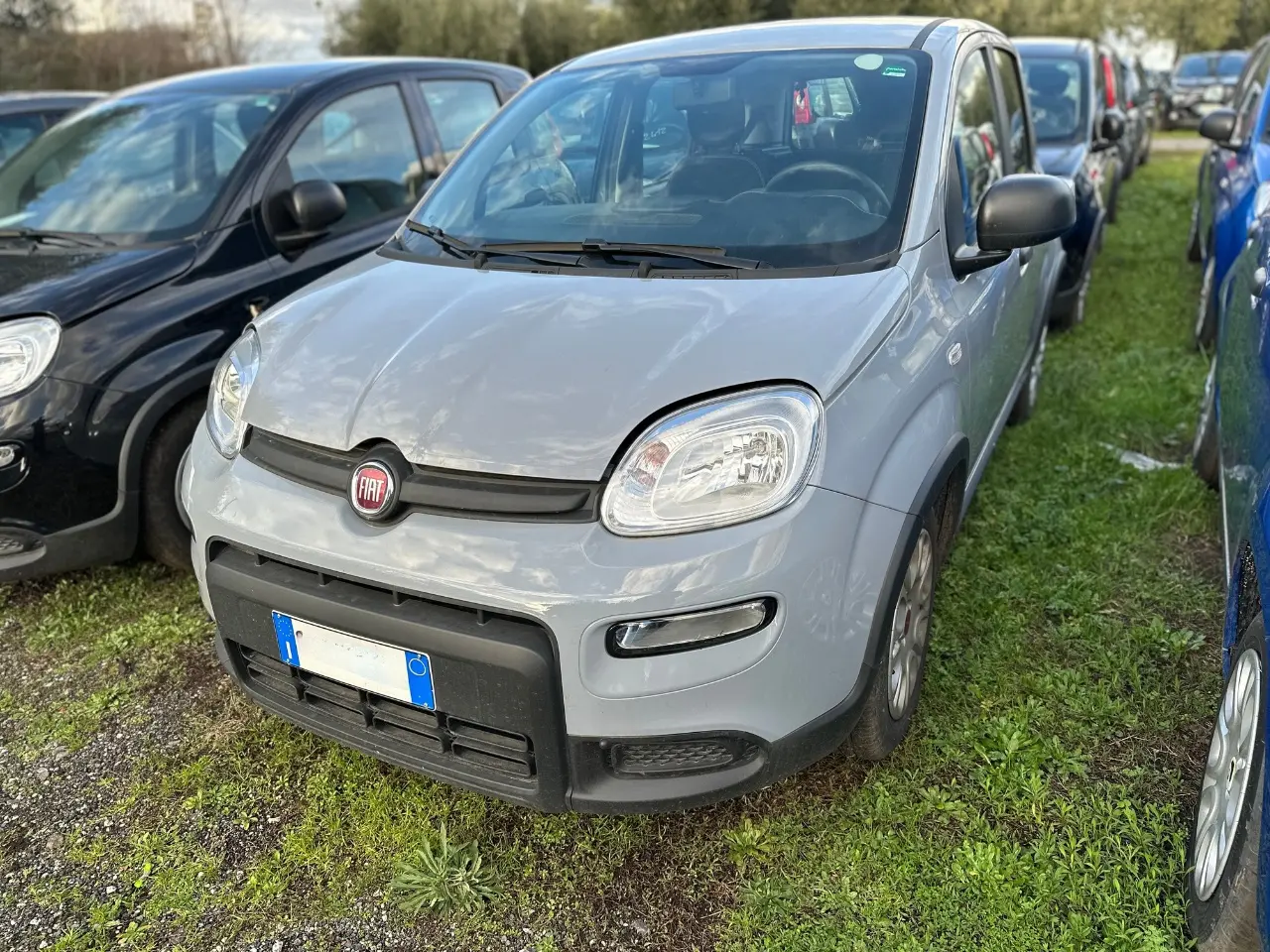 Immagine 3 stampa