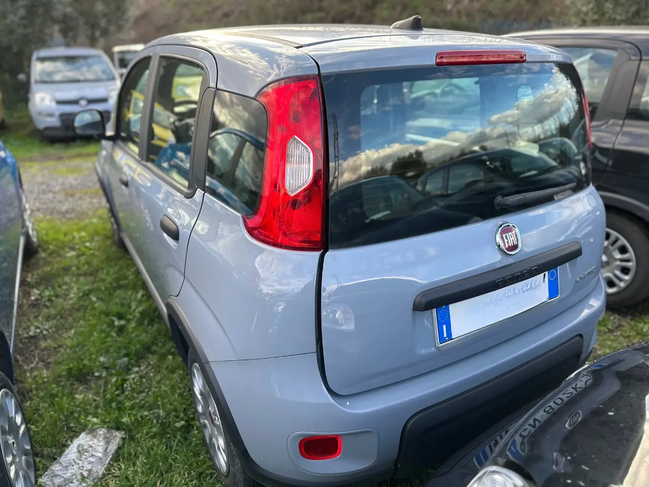 Immagine 4 stampa