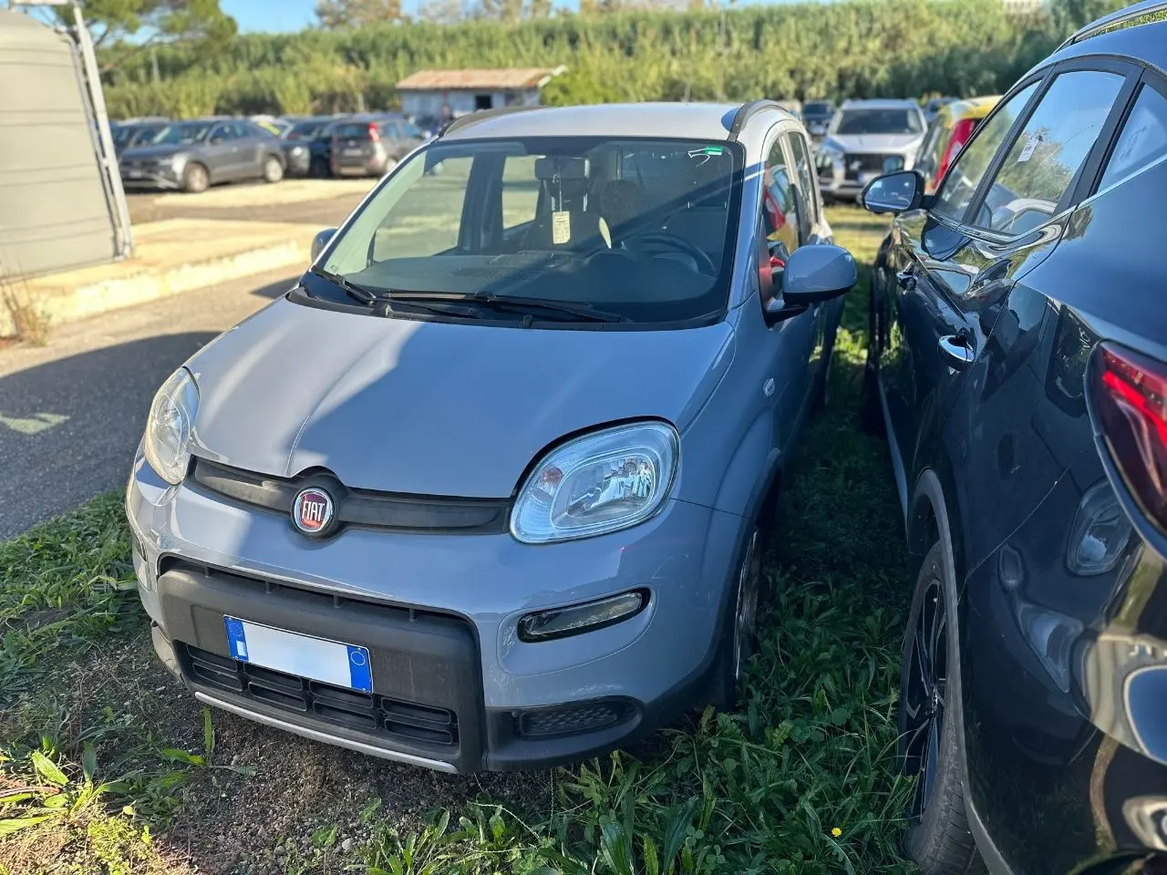 Immagine 3 stampa
