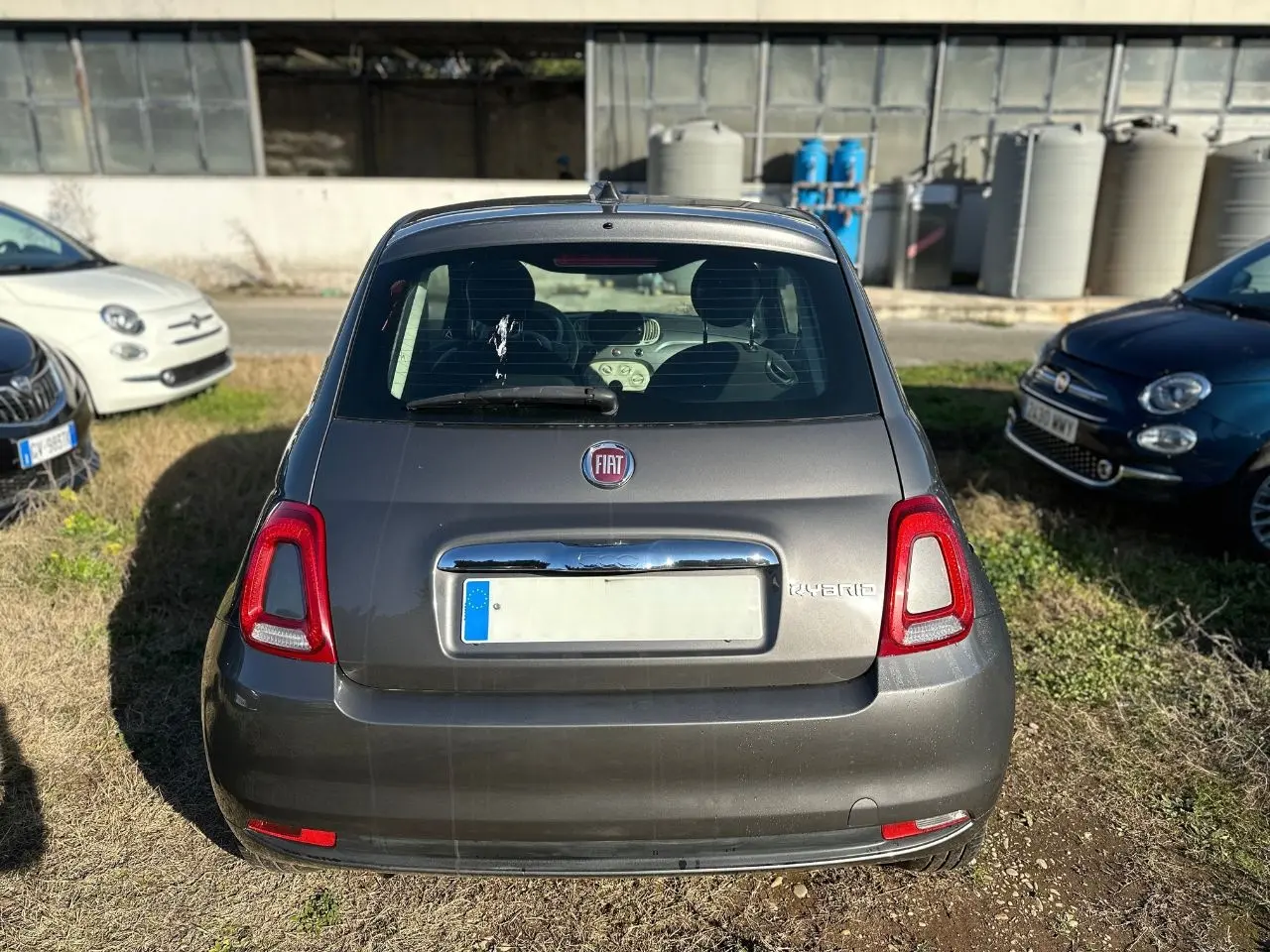 Immagine 2 stampa