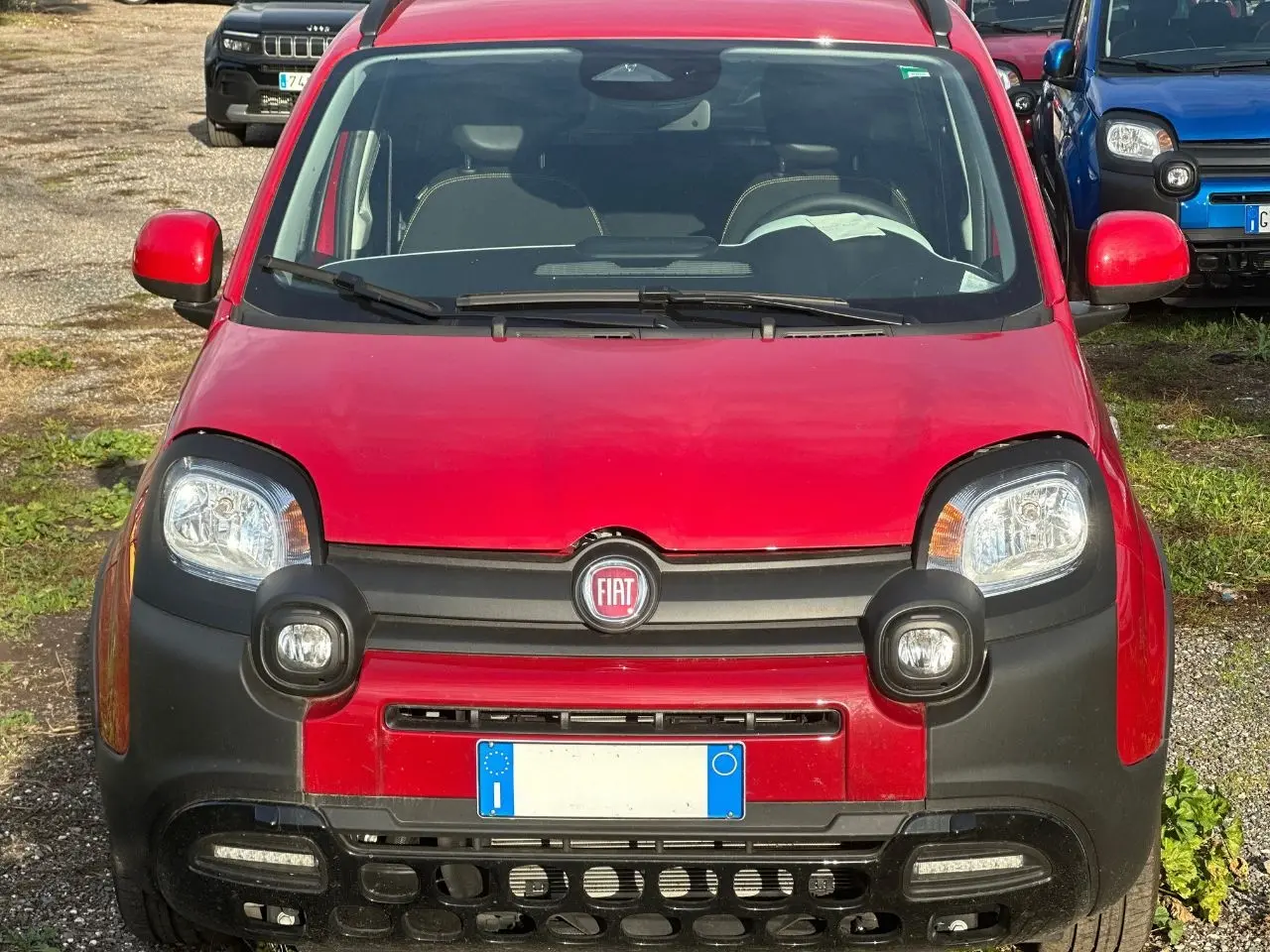 Immagine 2 stampa