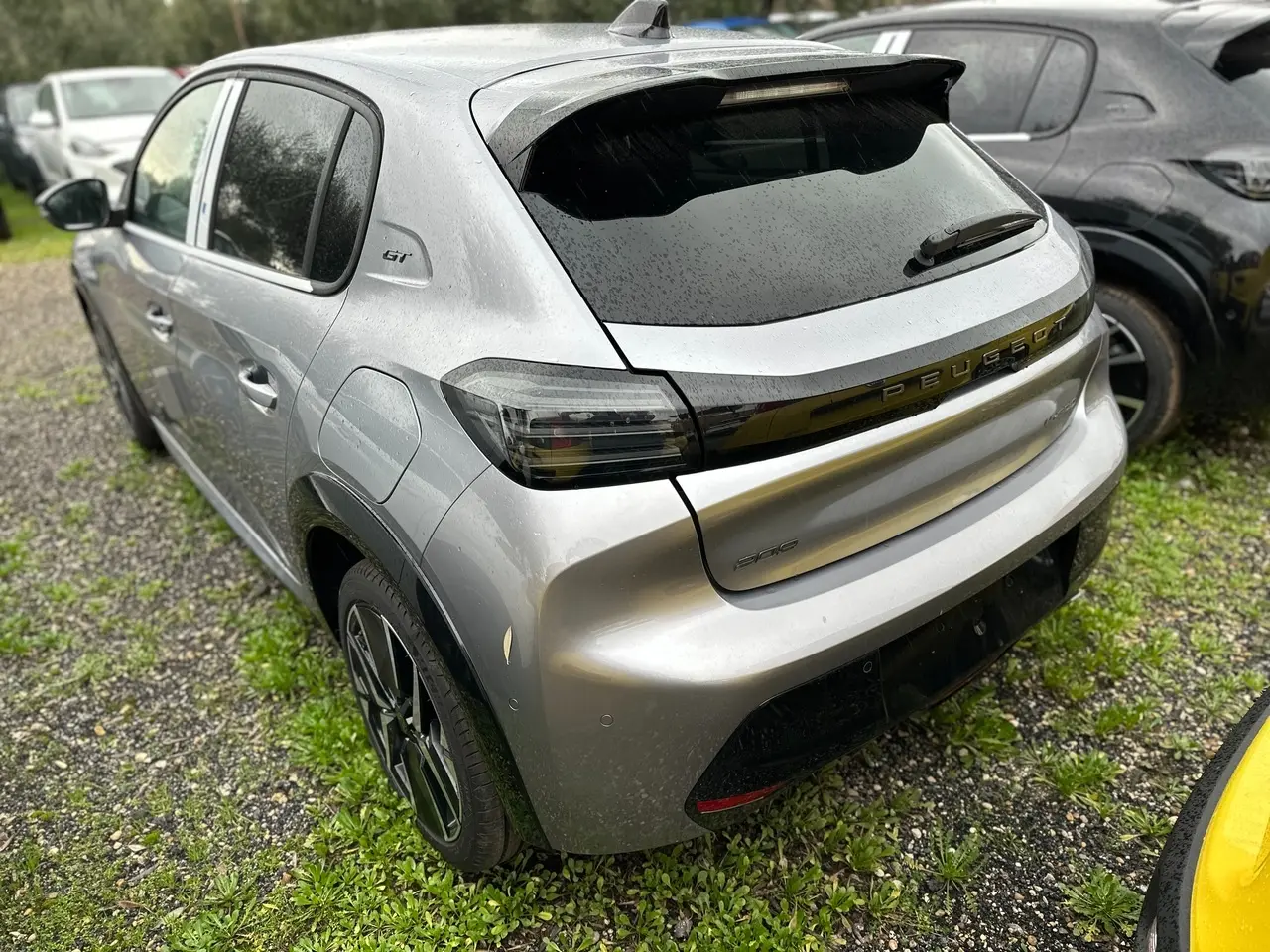 Immagine 5