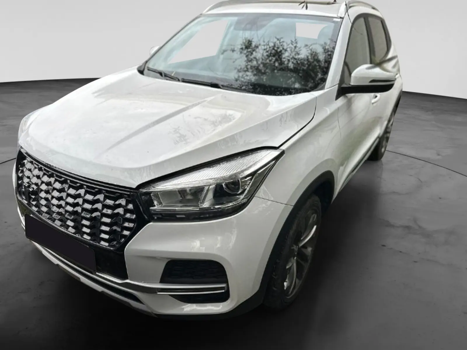 Immagine 1