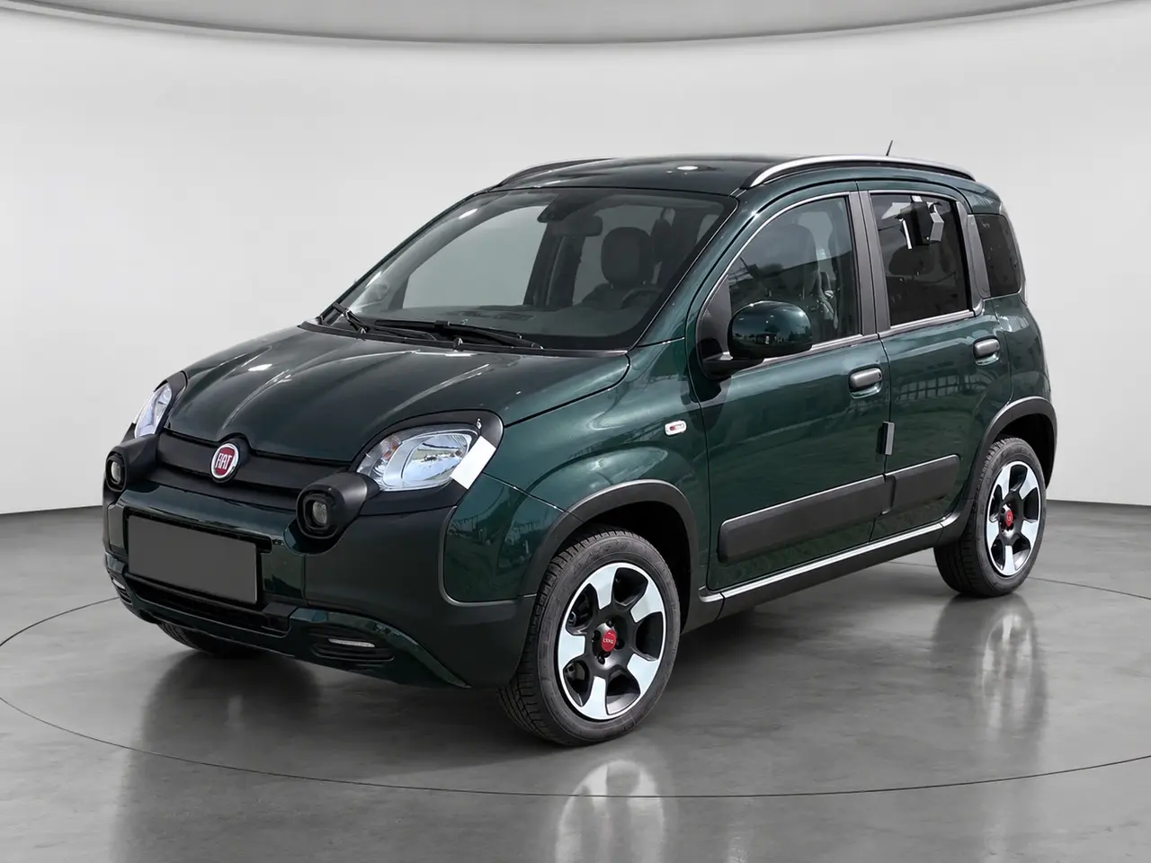 Immagine 1