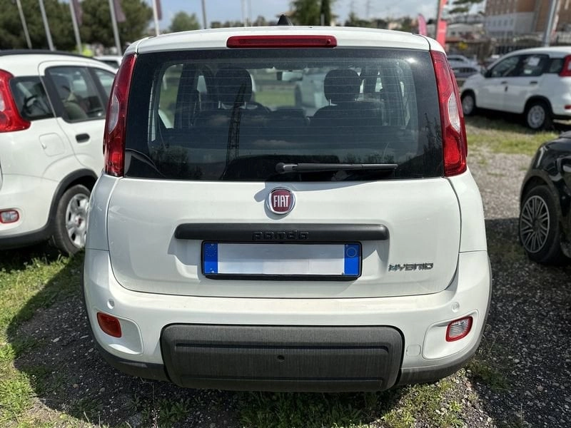 Immagine 4 stampa