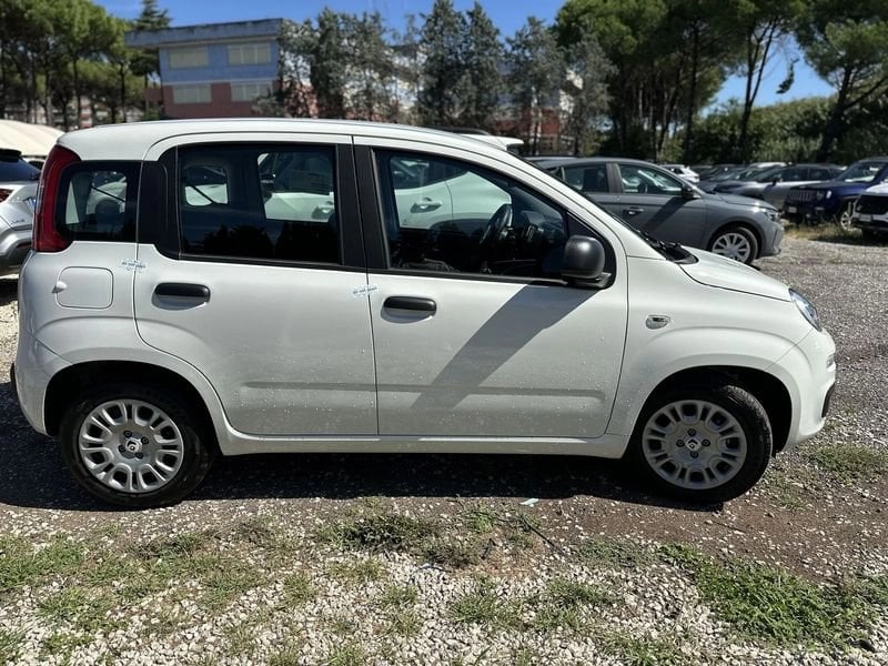 Immagine 4 stampa