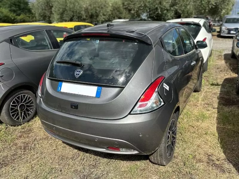 Immagine 3 stampa