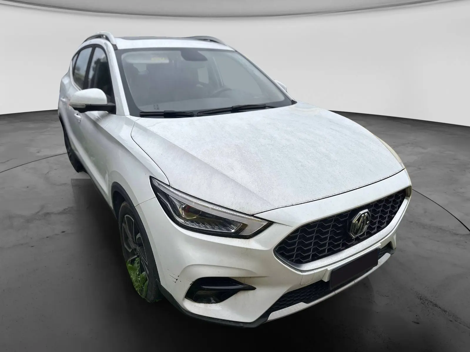 Immagine 2 stampa