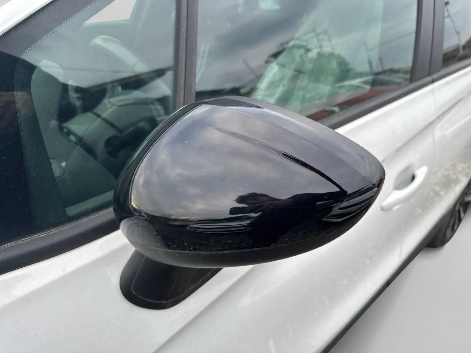 Immagine 8