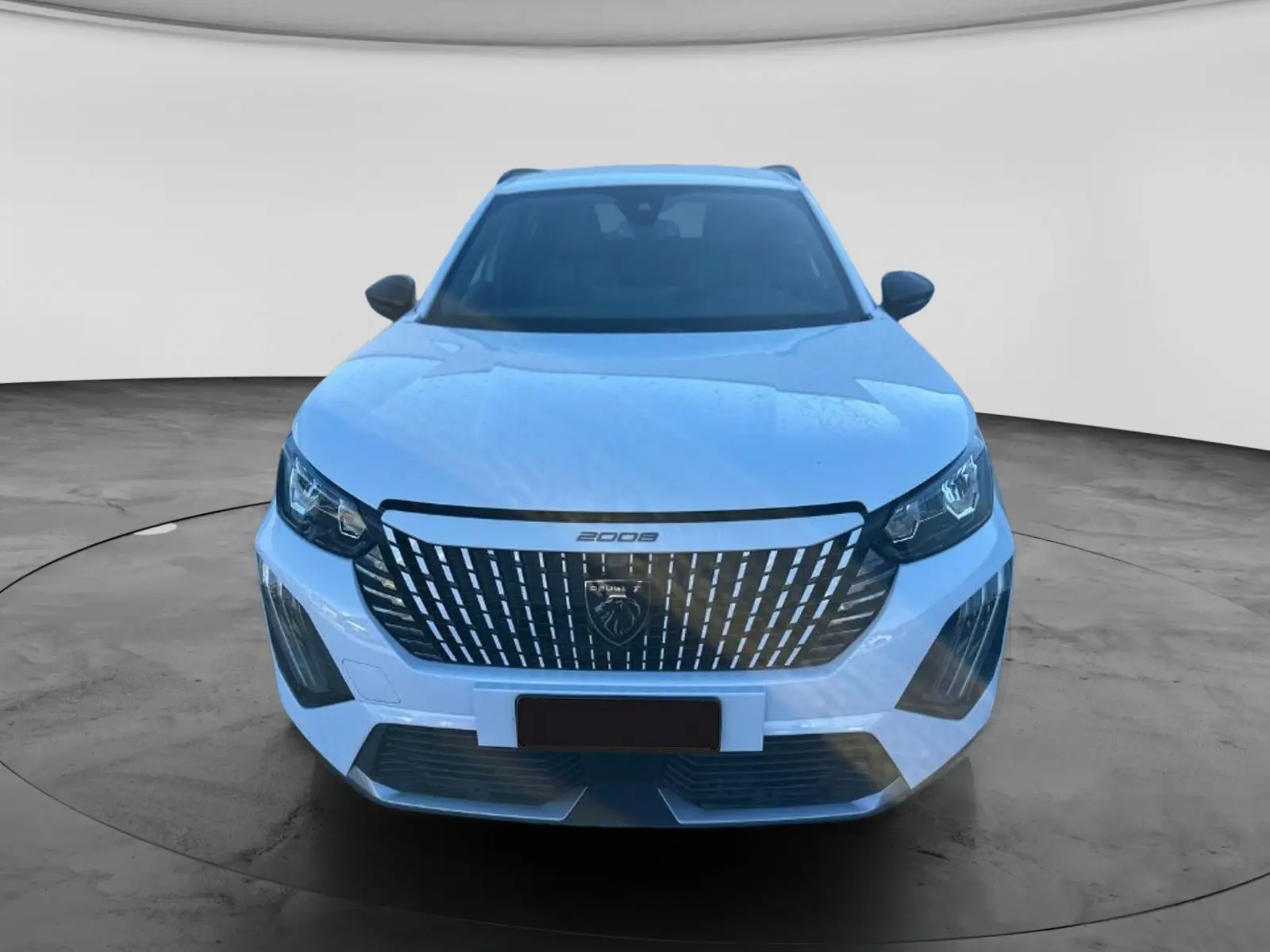 Immagine 1