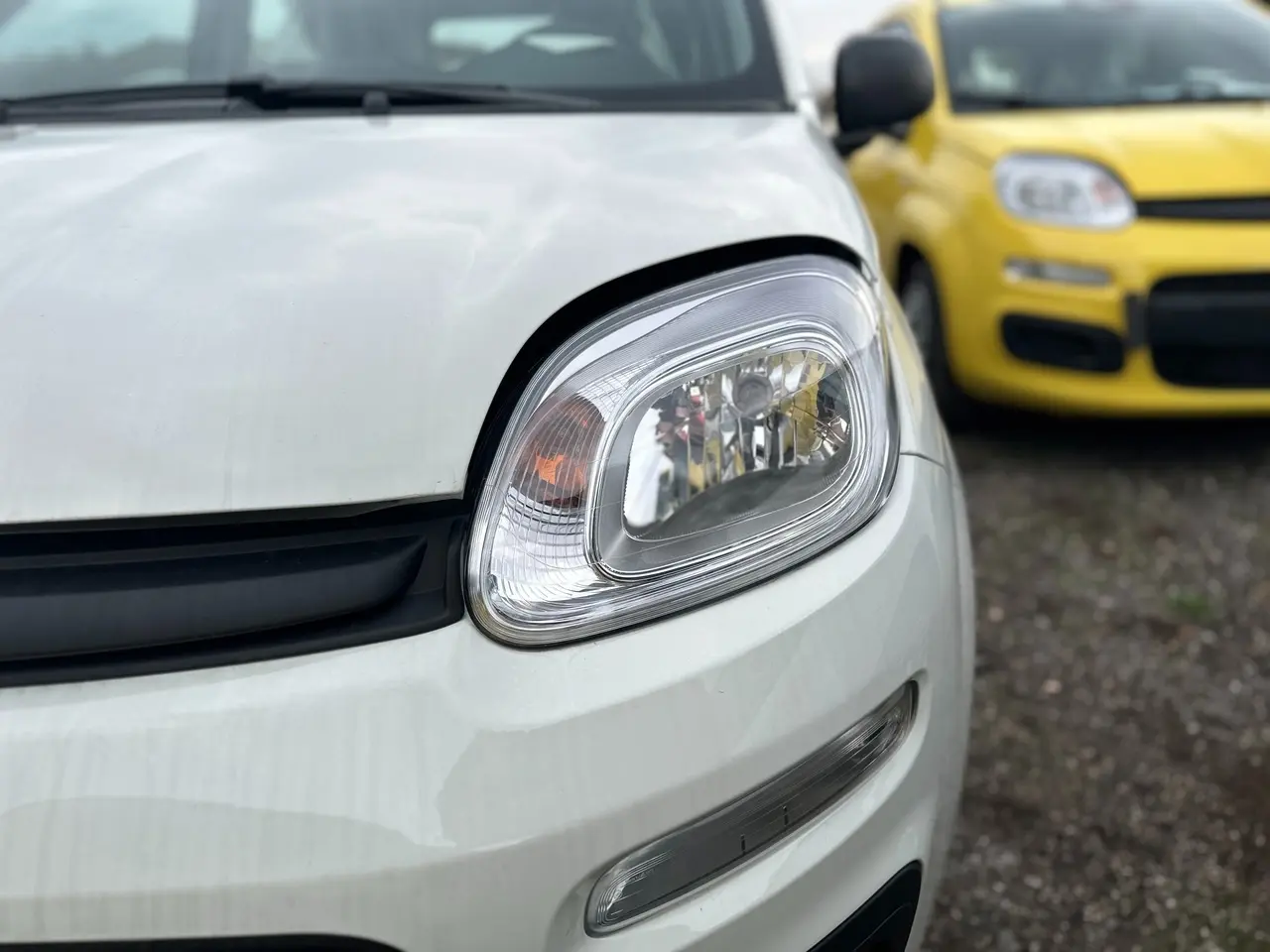 Immagine 8