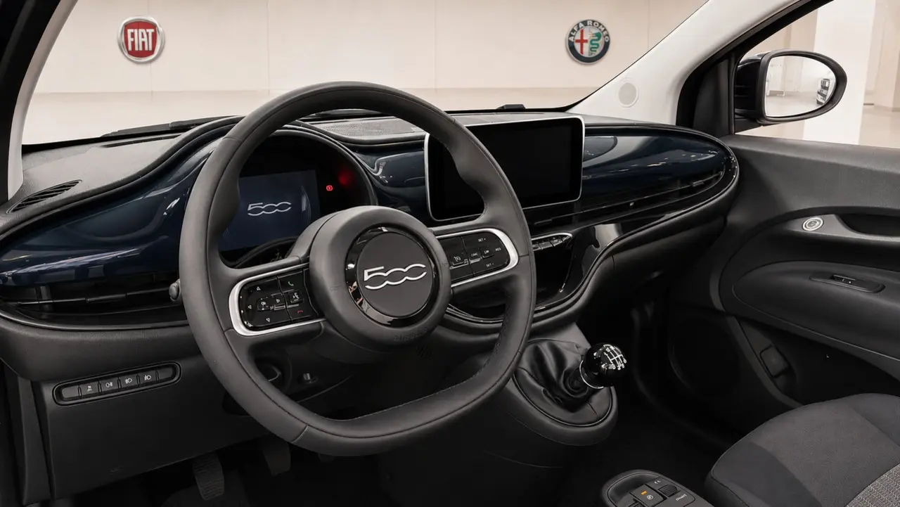 Immagine 7