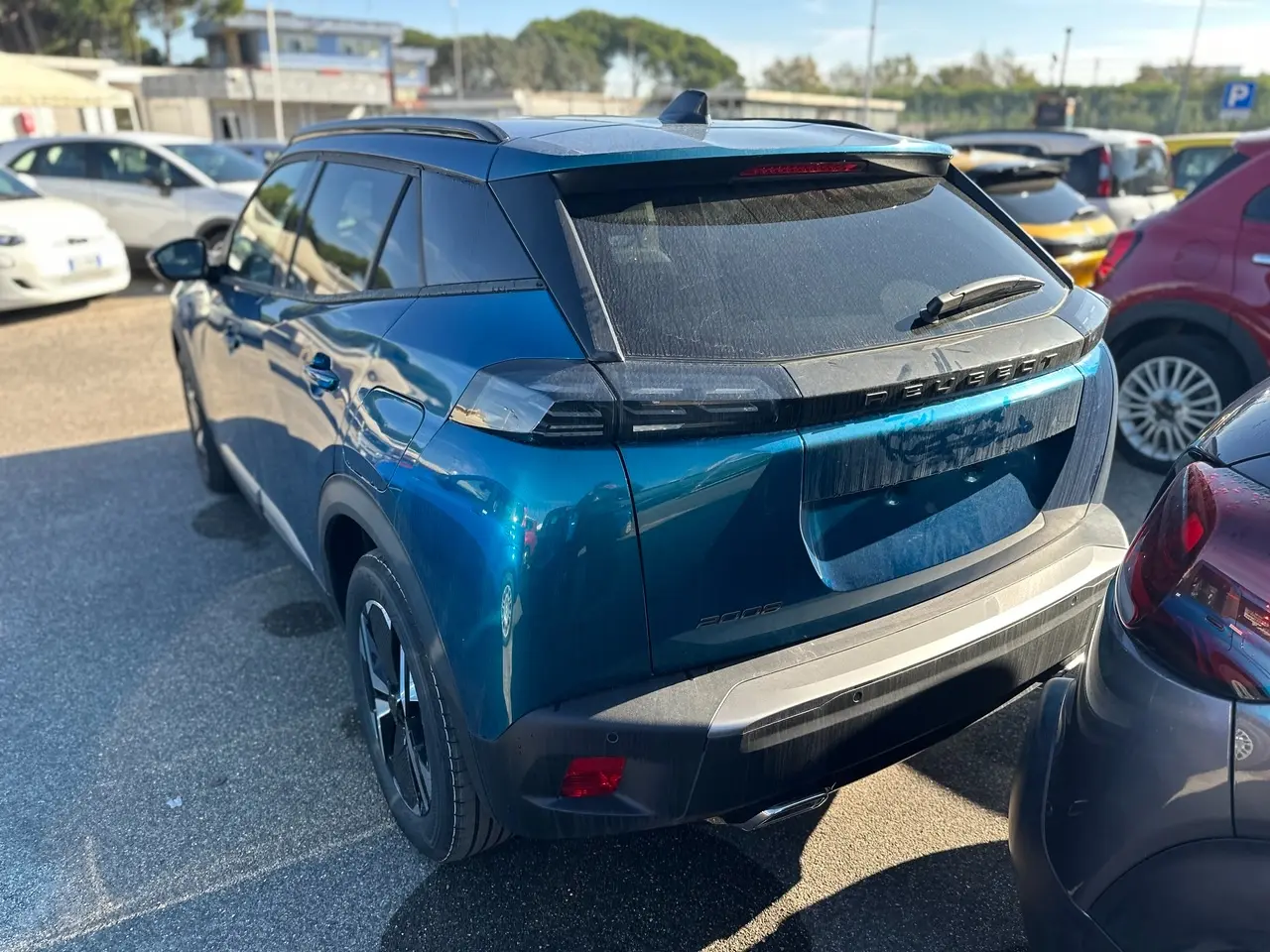 Immagine 7