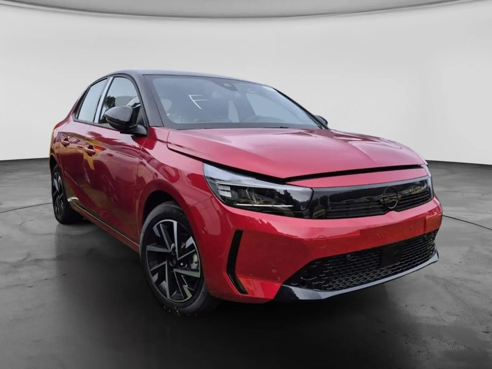 Immagine 2 stampa