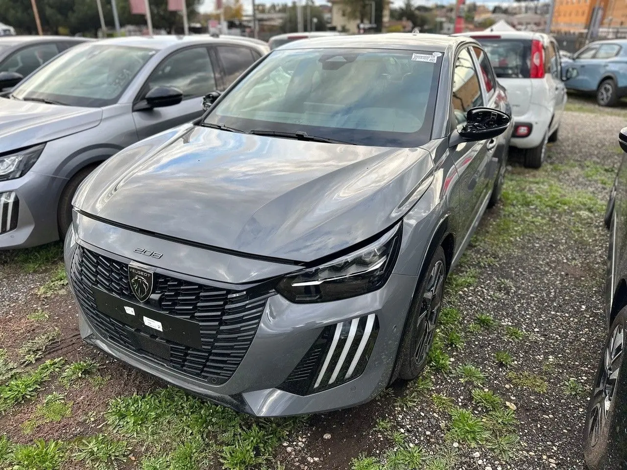 Immagine 2 stampa