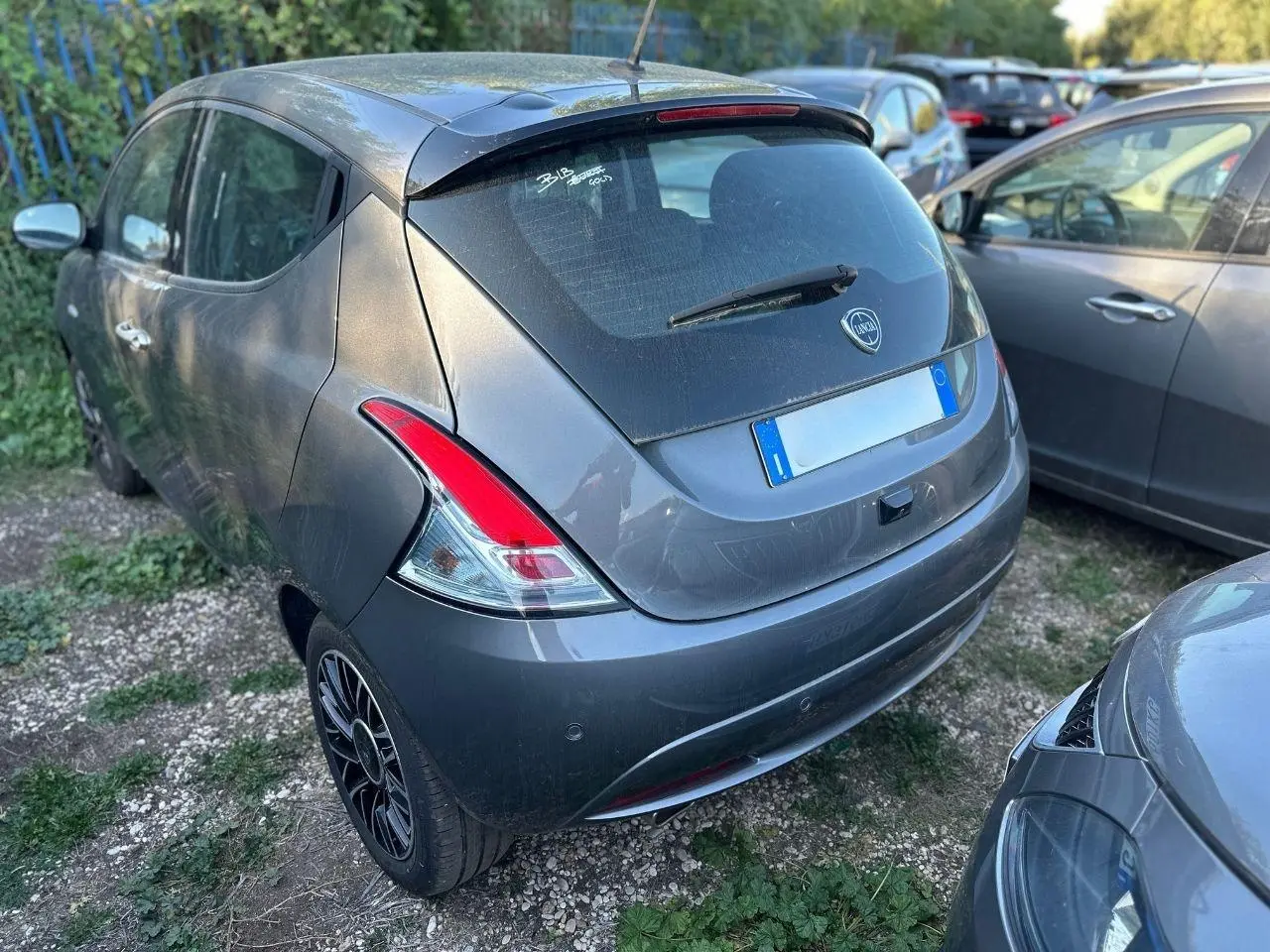Immagine 4 stampa