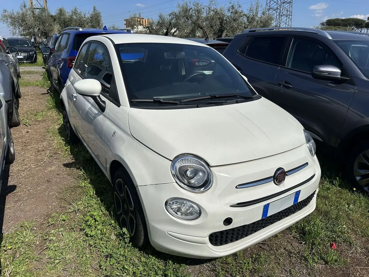 Immagine 3 stampa