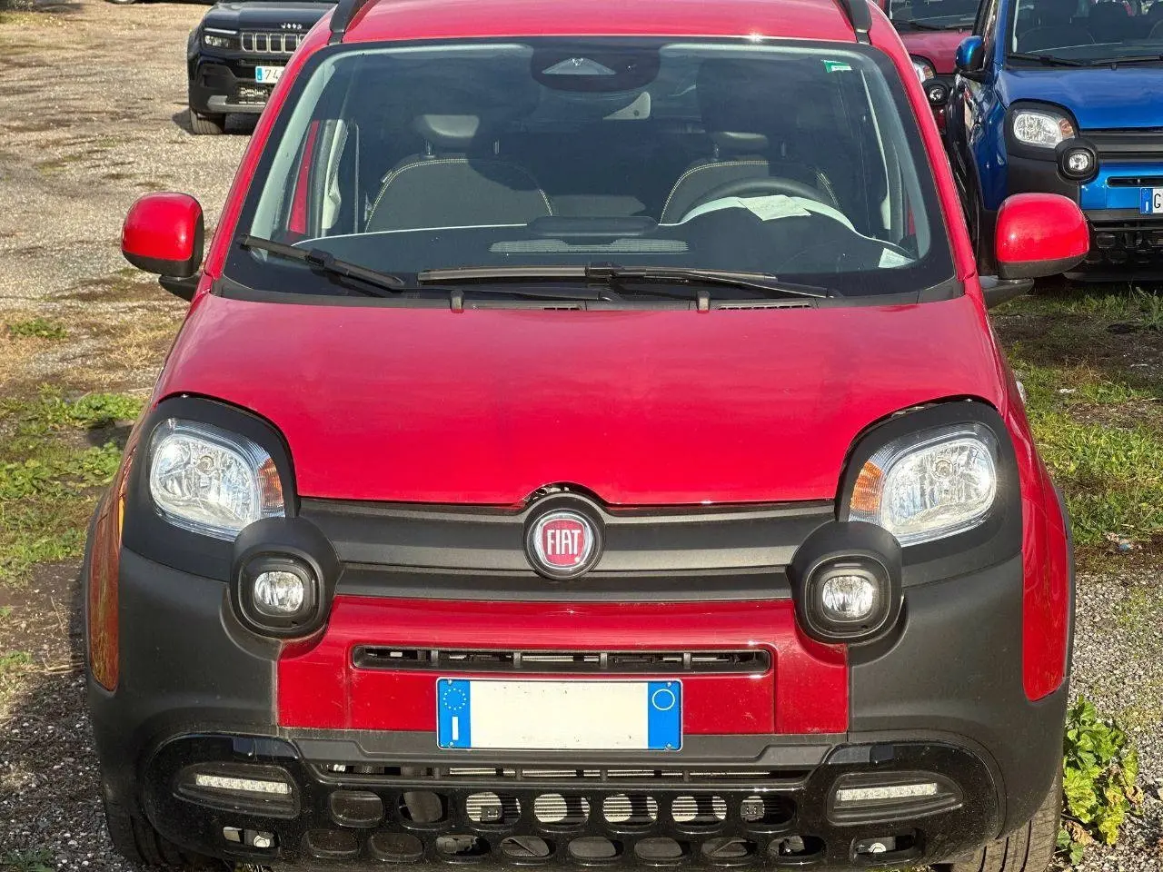 Immagine 2 stampa