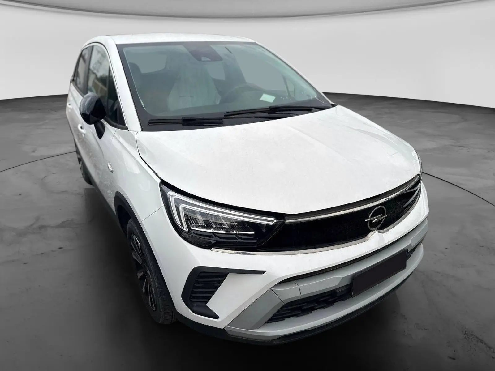 Immagine 2 stampa