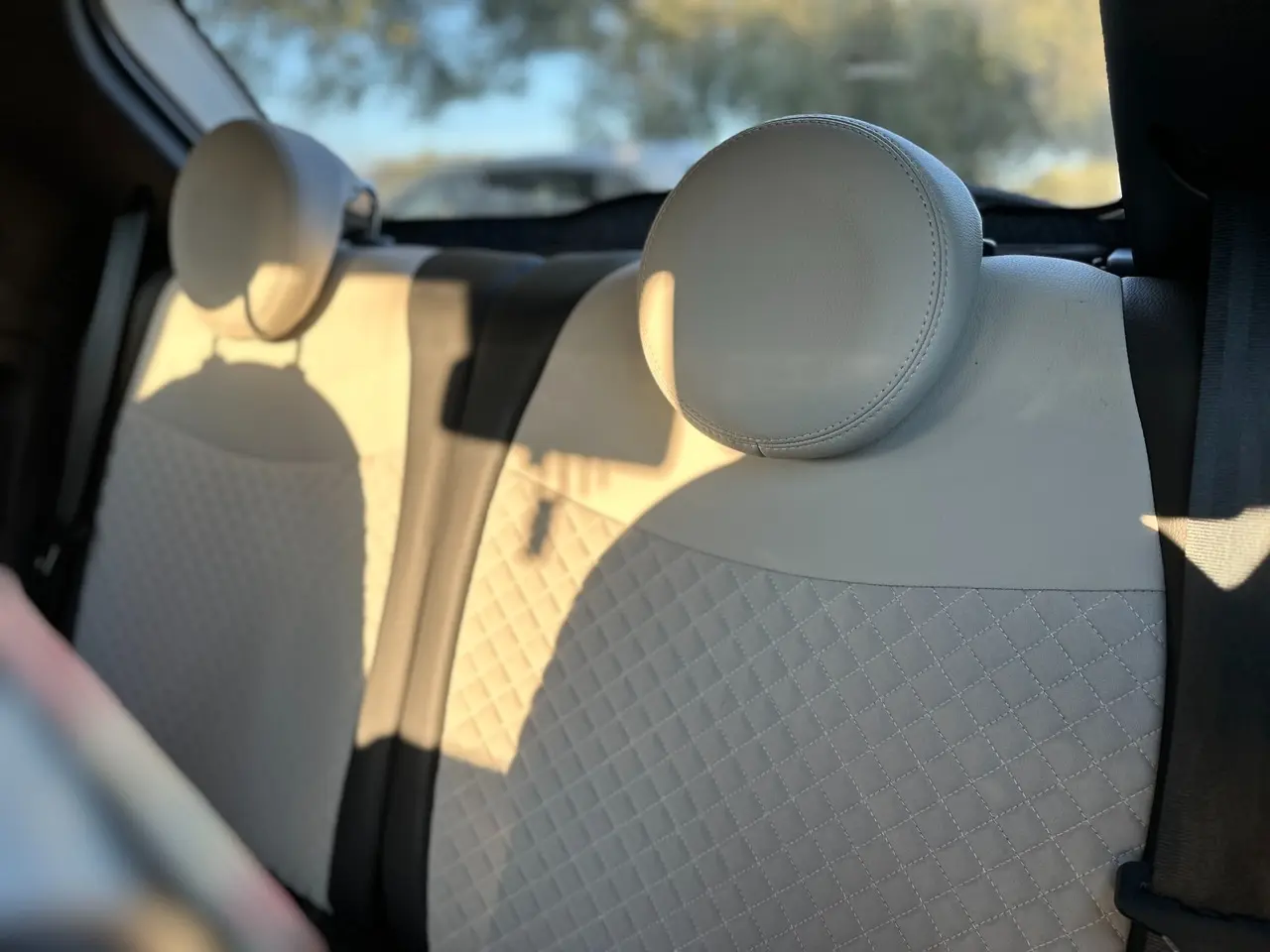 Immagine 23