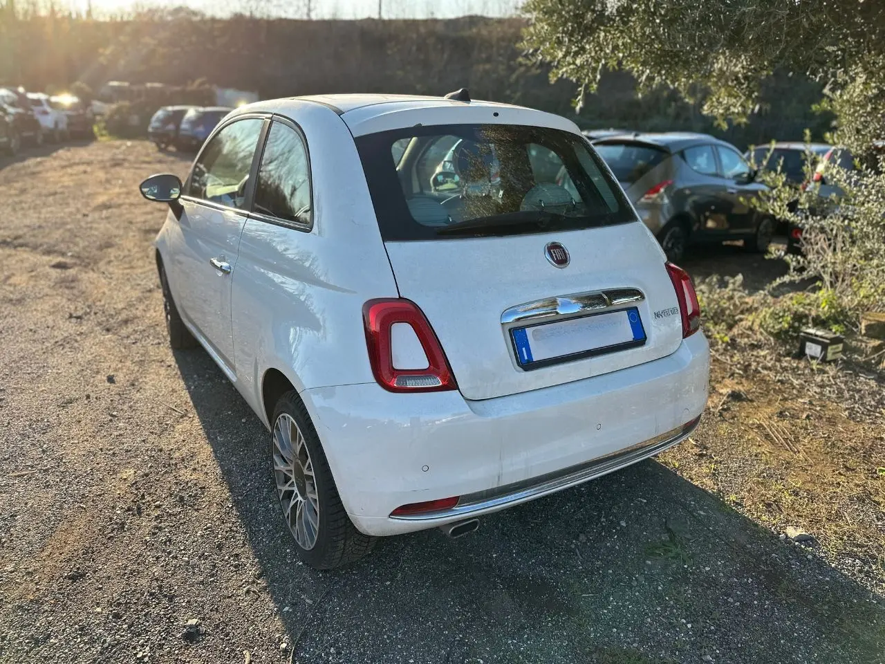 Immagine 4 stampa
