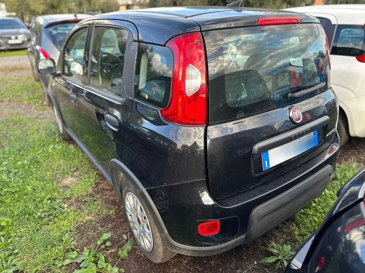 Immagine 4 stampa