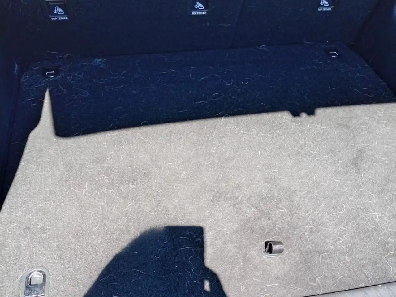 Immagine 8