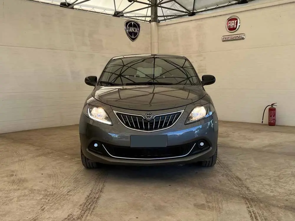 Immagine 2 stampa