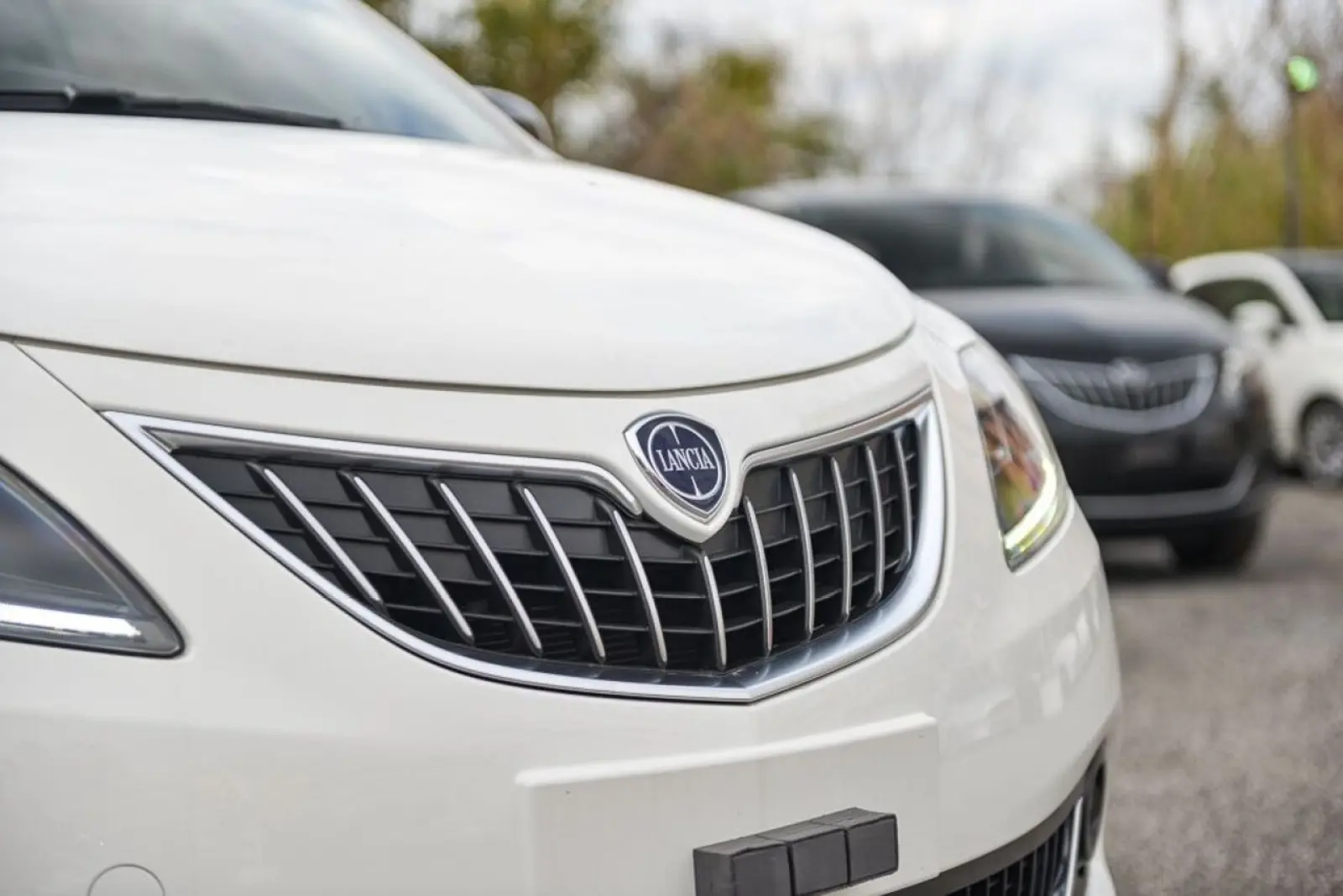 Immagine 30