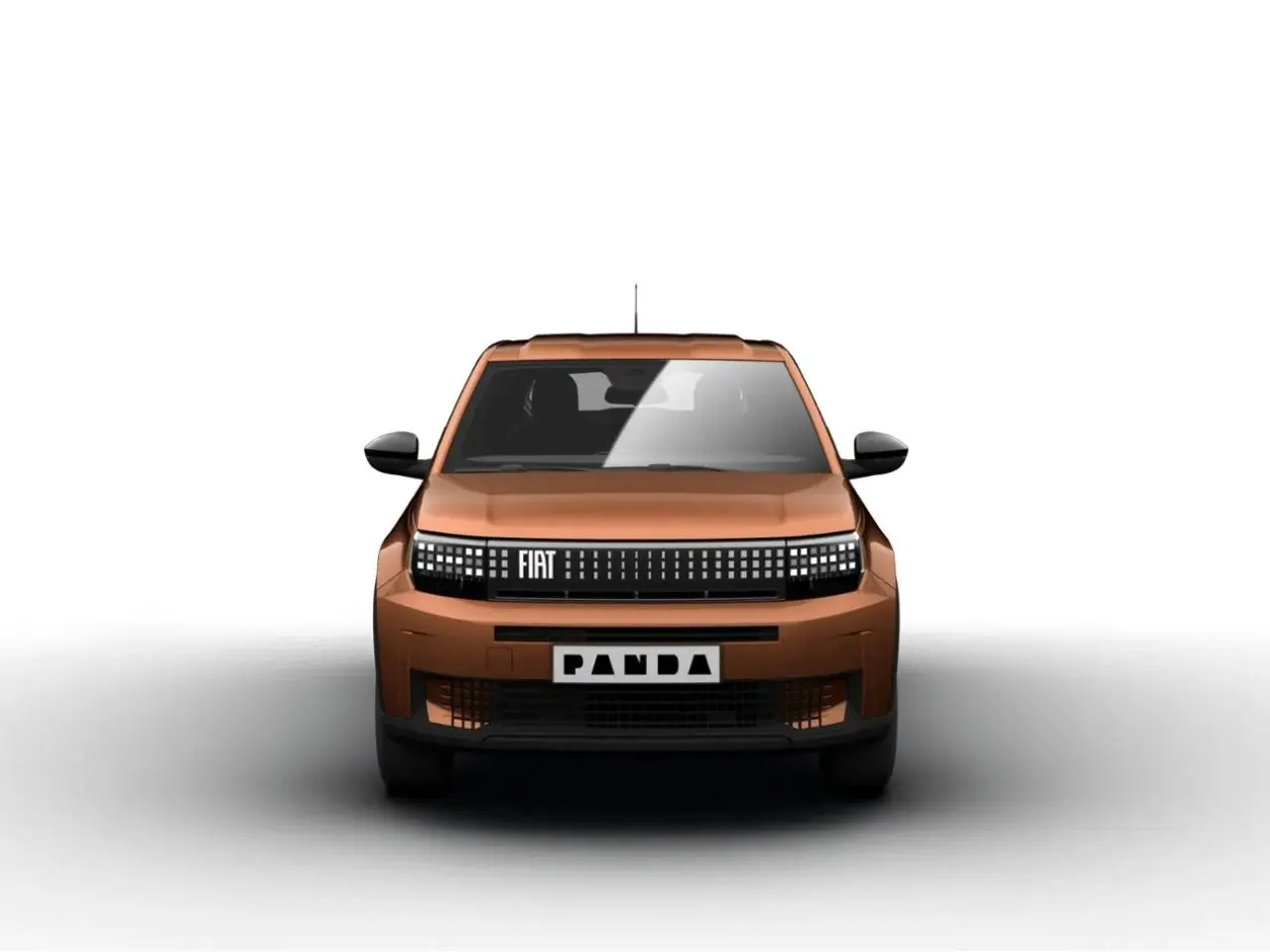 Immagine 2 stampa
