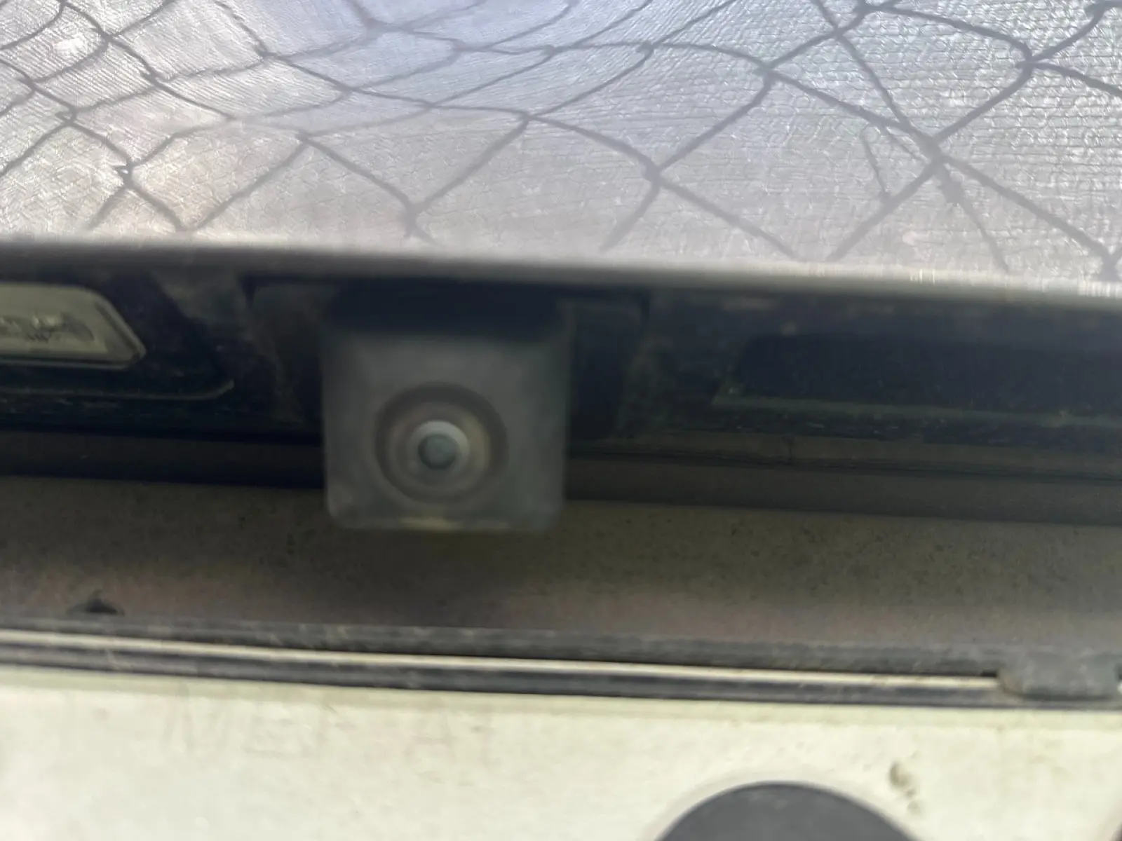 Immagine 6