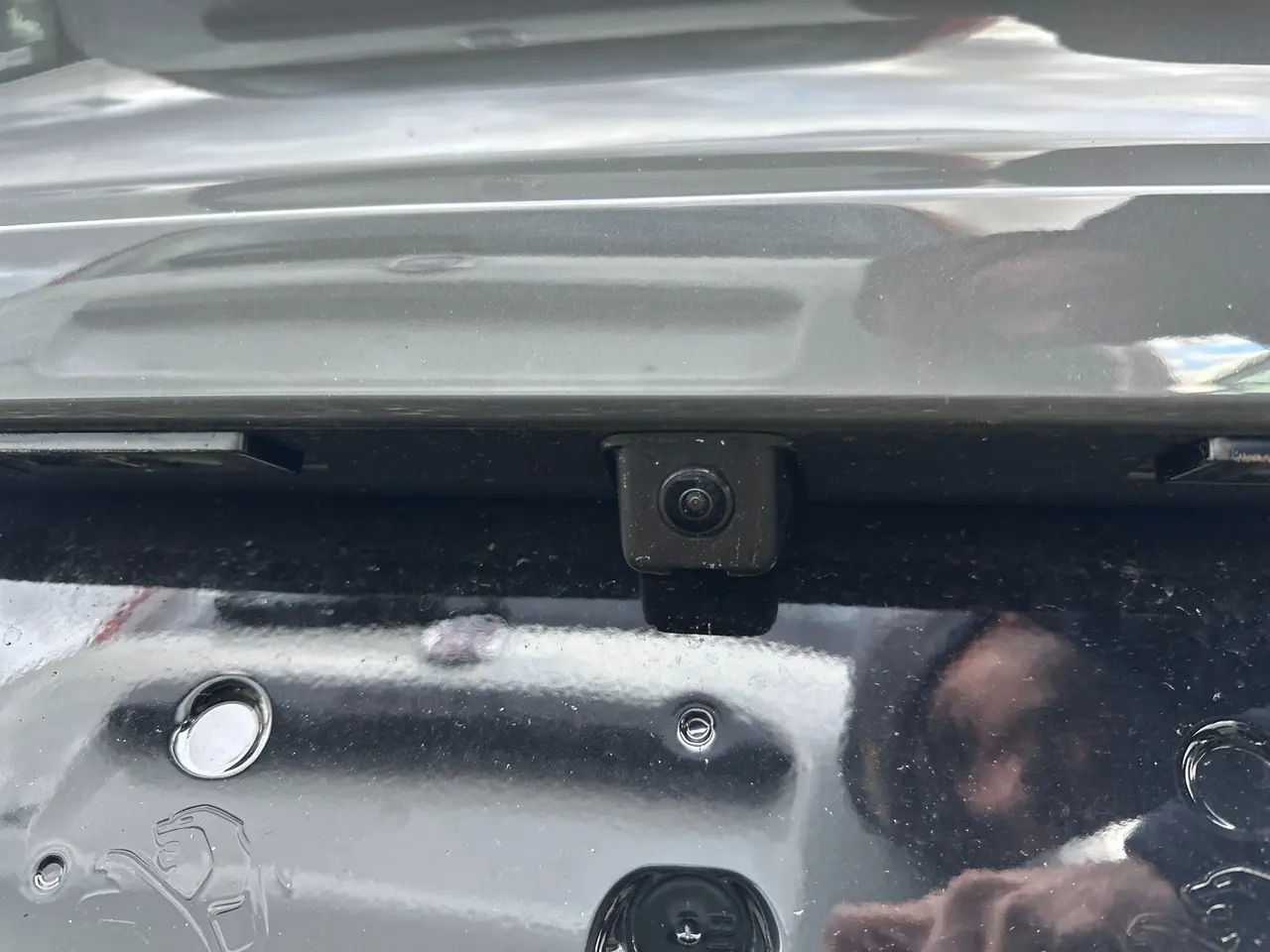 Immagine 8