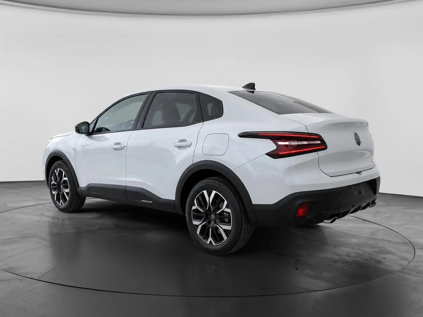 Immagine 3 stampa
