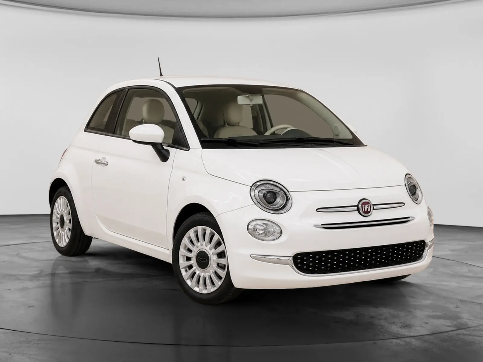 Immagine 1