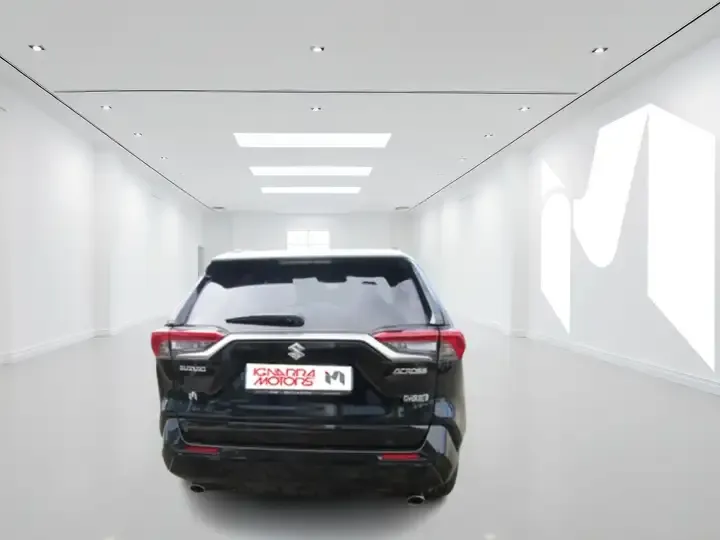 Suzuki Across foto 6