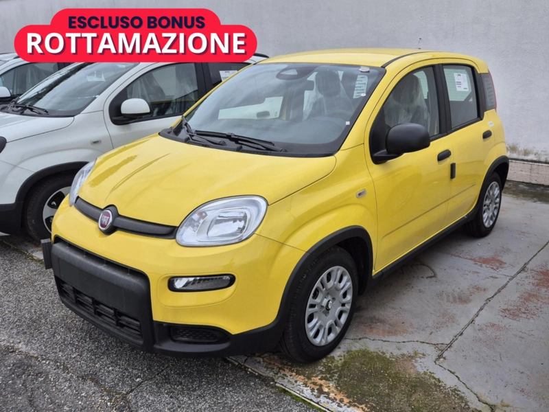 Immagine 1