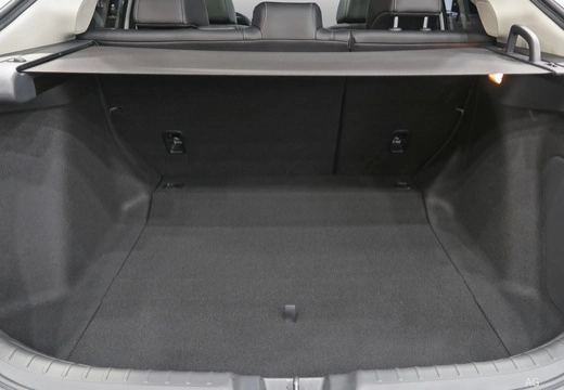 Immagine 11 Honda Civic