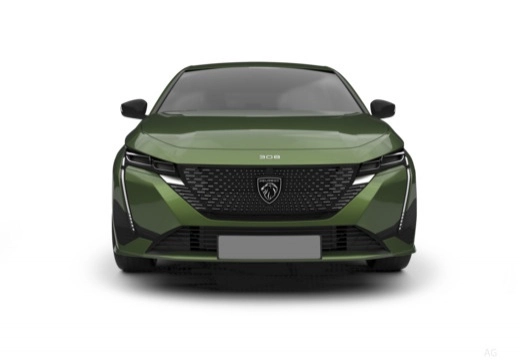 Immagine 6 Peugeot 308